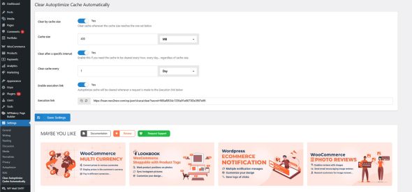 Clear Autoptimize Cache Automatically - Image 2